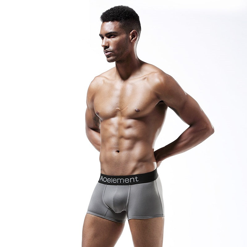 AO Low-Rise Trunk Boxer